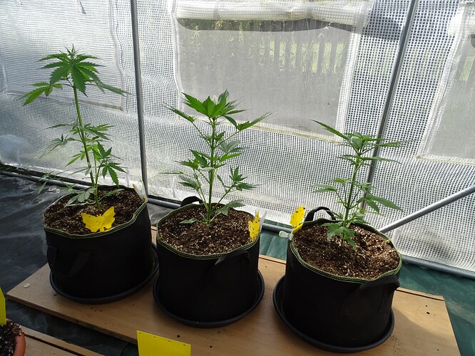Growreport Bild 5