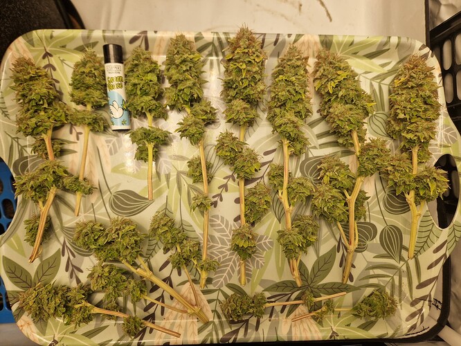 Growreport Bild 14