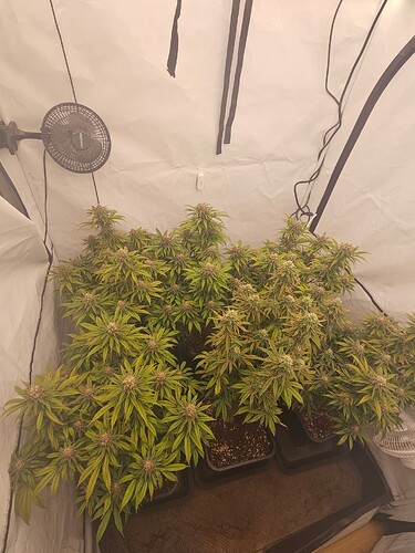 Growreport Bild 16