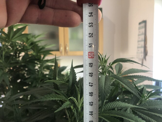 Growreport Bild 8