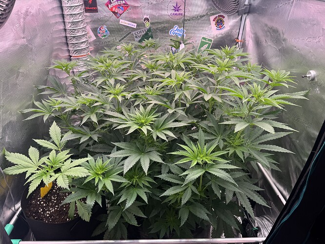 Growreport Bild 20