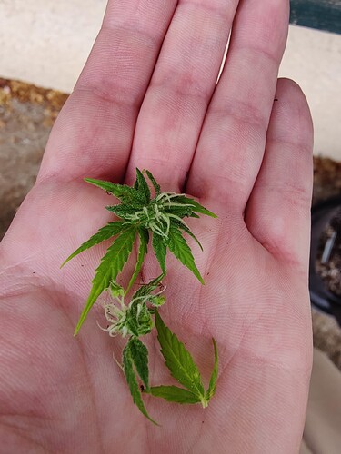 Growreport Bild 11