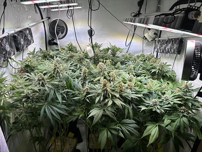 Growreport Bild 24
