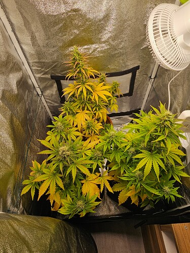Growreport Bild 2