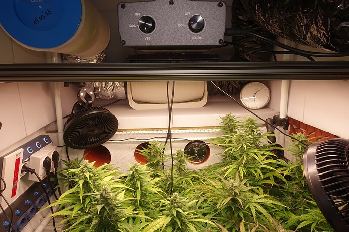Growreport Bild 9