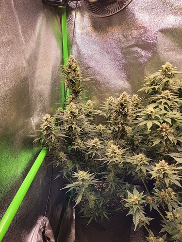 Growreport Bild 11