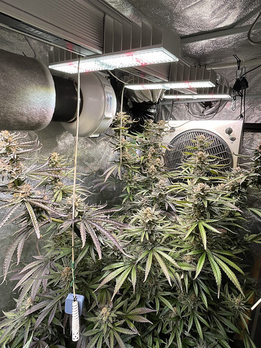 Growreport Bild 4