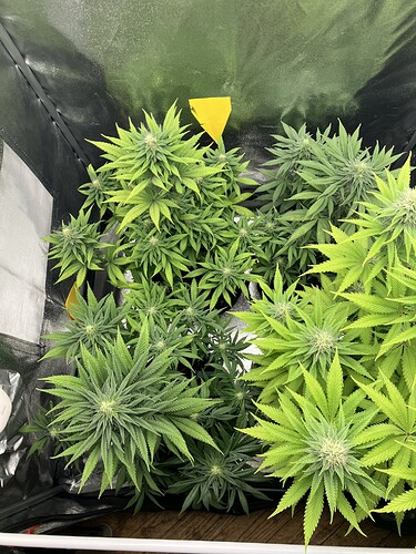 Growreport Bild 10