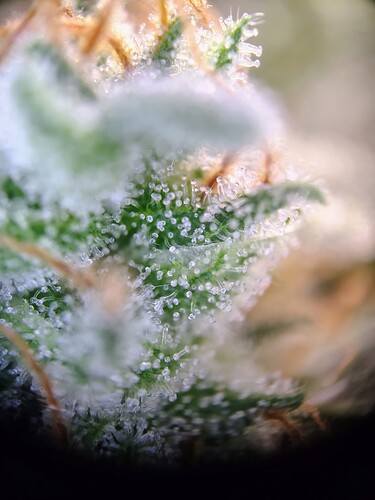 IMG_20250512_100846157_HDR_AE