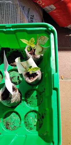 17443717449919074917684399502745