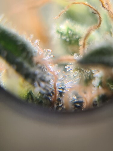 Growreport Bild 23