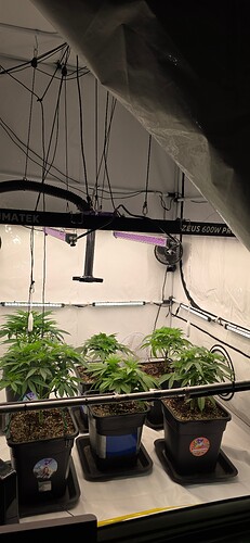 Growreport Bild 43