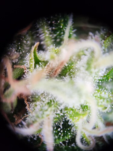 Growreport Bild 19