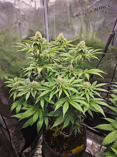 Growreport Bild 22