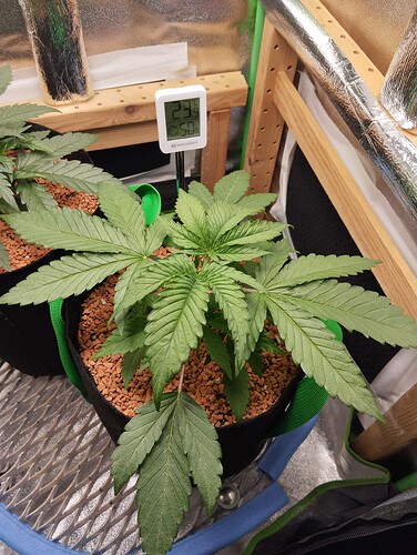 Growreport Bild 3
