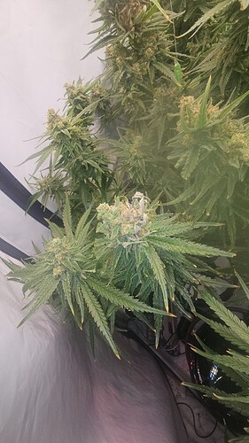 Growreport Bild 14