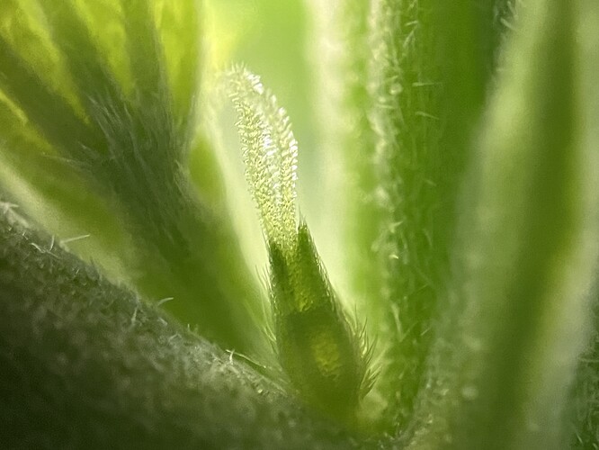 Growreport Bild 7
