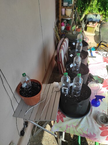 Growreport Bild 5