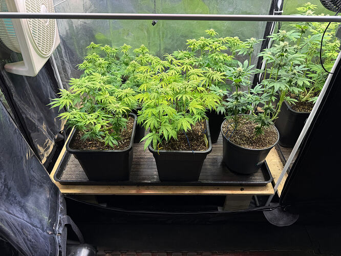 Growreport Bild 16