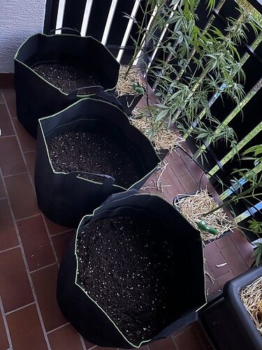 Growreport Bild 5