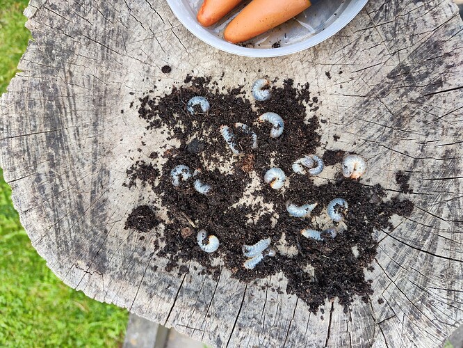 Growreport Bild 15