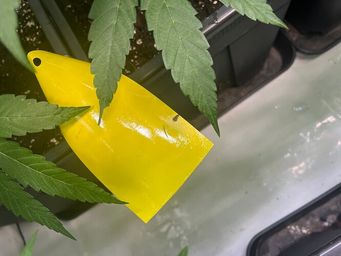 Growreport Bild 15