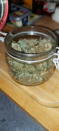 Growreport Bild 13