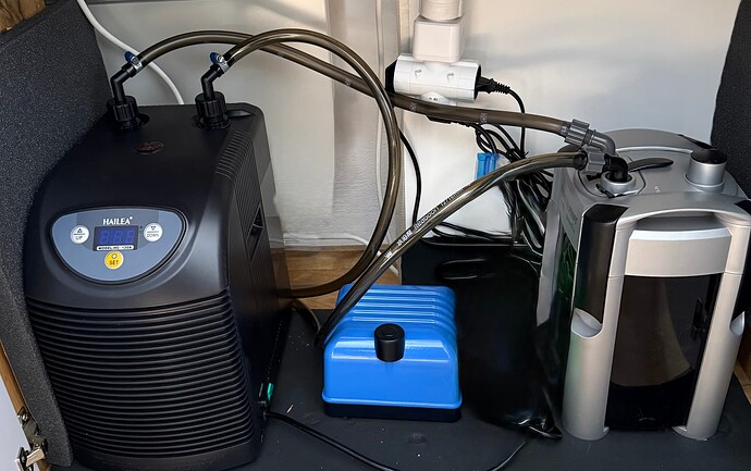 Growreport Bild 3