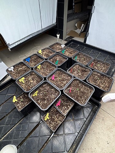 Growreport Bild 26
