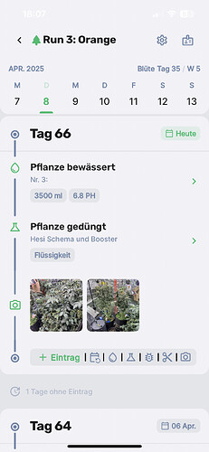 Growreport Bild 7