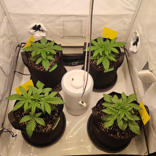 Growreport Bild 22