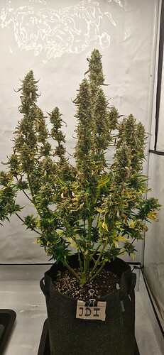 Growreport Bild 1