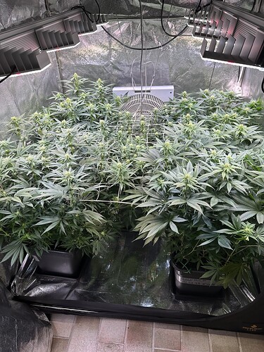 Growreport Bild 25