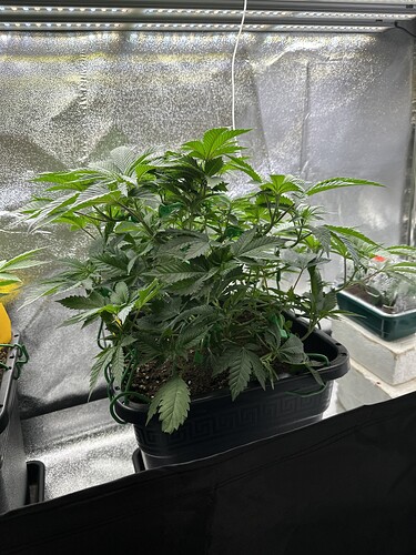 Growreport Bild 15