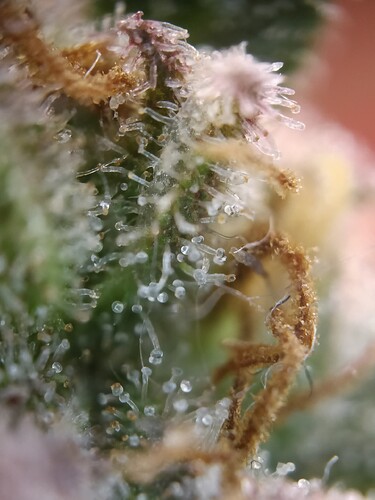 Growreport Bild 15