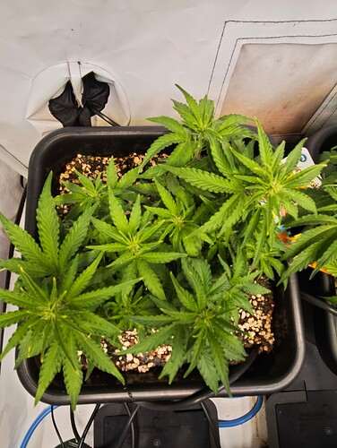 MVIMG_20251015_213403