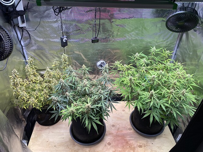 Growreport Bild 46