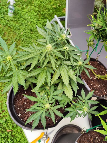 Growreport Bild 18