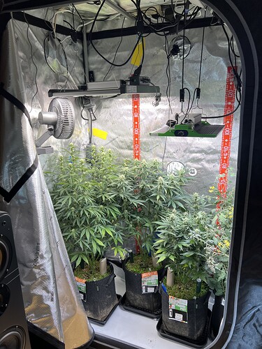 Growreport Bild 15