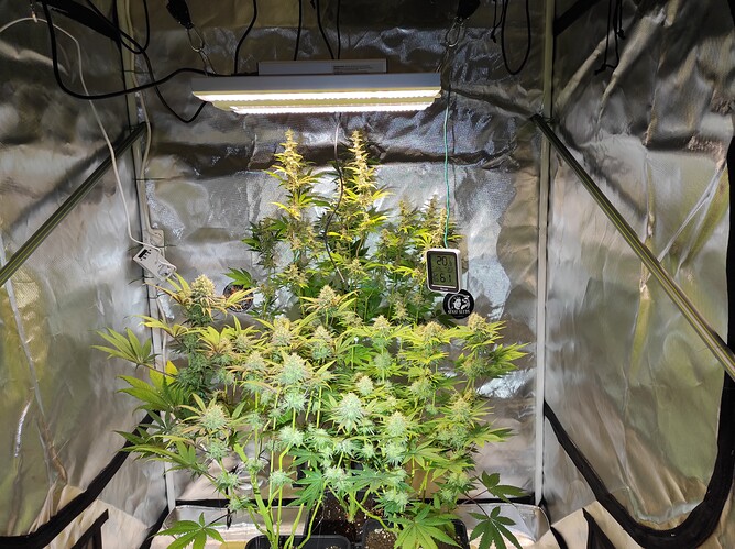 Growreport Bild 2