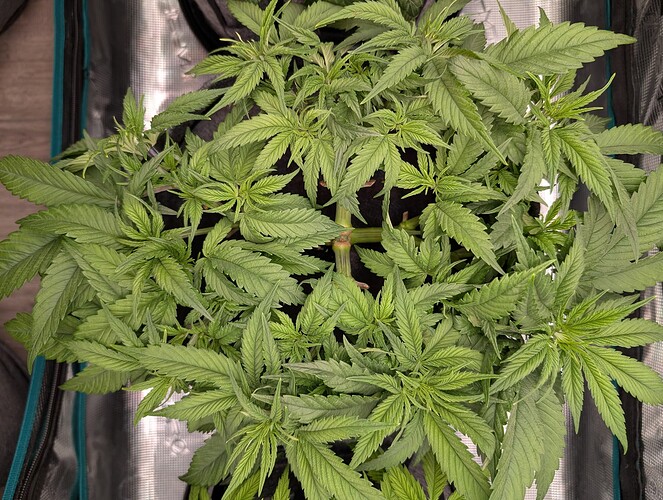 Growreport Bild 21