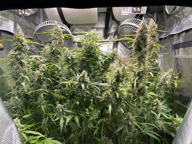 Growreport Bild 1