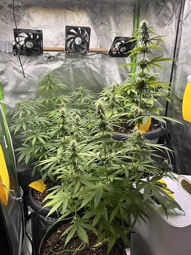 Growreport Bild 9