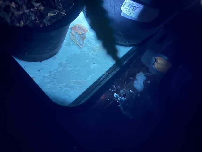 Growreport Bild 13