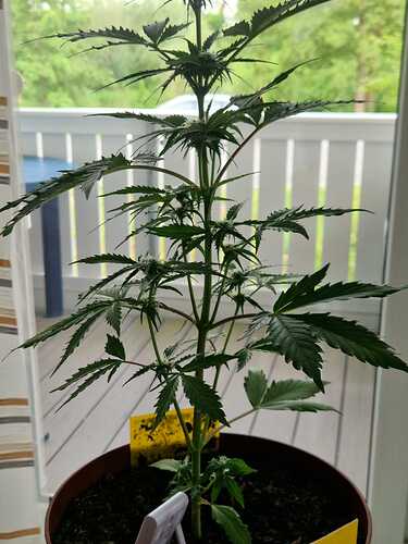 WhatsApp Image 2024-05-22 at 17.48.39 (1)