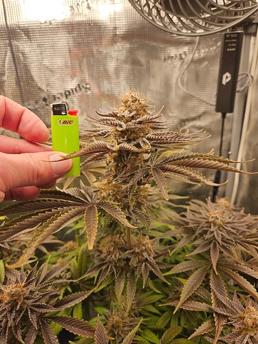 Growreport Bild 21