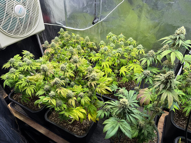 Growreport Bild 2