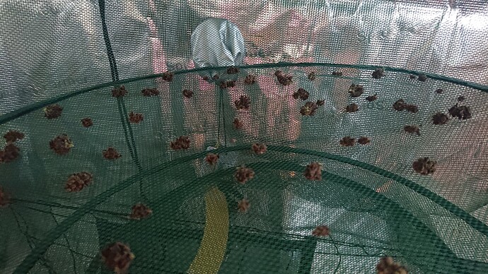 Growreport Bild 50