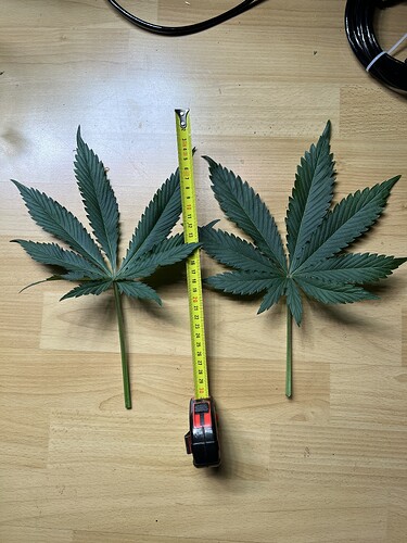 Growreport Bild 18