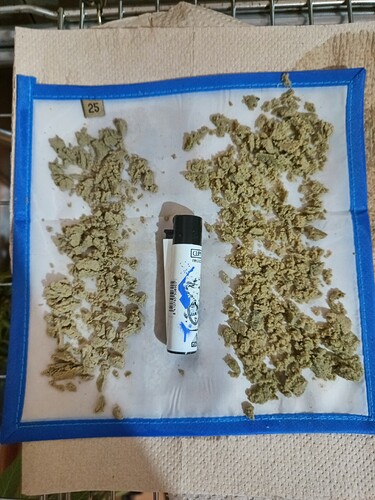 Growreport Bild 5